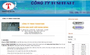 tk13412.dangnhanhonline.com