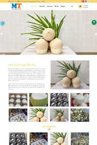 binhphucoconut.com