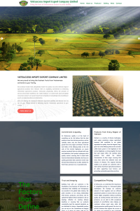 vietsuccessgroup.com